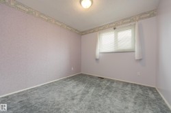 Textured walls with decorative border, window with blinds and sheer curtains, overhead lighting, and carpeted flooring - 