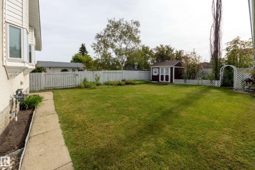Expansive grassy lawn with a privacy fence, a detached shed, and a garden archway - 3421 135A Avenue Nw, Edmonton, AB 