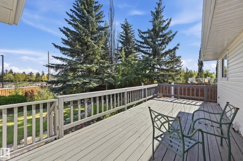 Expansive wood-finish deck with a built-in railing system, overlooking a landscaped yard with mature evergreen trees and a partial fence - 11102 11A Avenue Nw, Edmonton, AB 