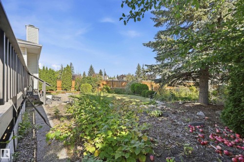 Expansive backyard with mature trees, manicured lawn, and natural wood fencing - 11102 11A Avenue Nw, Edmonton, AB 