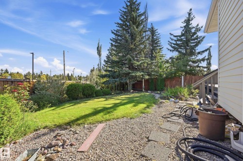 Expansive yard featuring a manicured lawn, gravel landscaping, concrete paver pathway, and mature trees - 11102 11A Avenue Nw, Edmonton, AB 