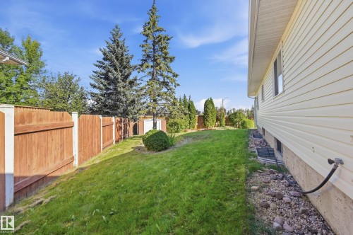 Expansive lawn area with a wood fence and mature trees - 11102 11A Avenue Nw, Edmonton, AB 