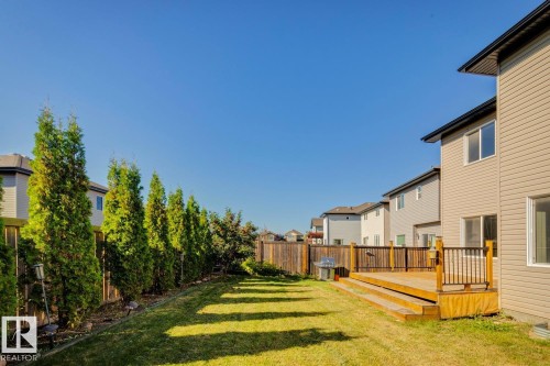 Expansive backyard featuring a manicured lawn, a full-width wood deck with railings, and a privacy fence lined with mature evergreen trees - 12007 173 Avenue Nw, Edmonton, AB 