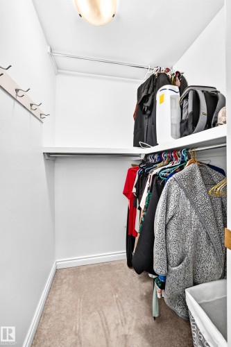 Walk-in closet with carpet flooring, wall-mounted coat hooks, and integrated shelving with hanging rods - 5620 93A Avenue Nw, Edmonton, AB 