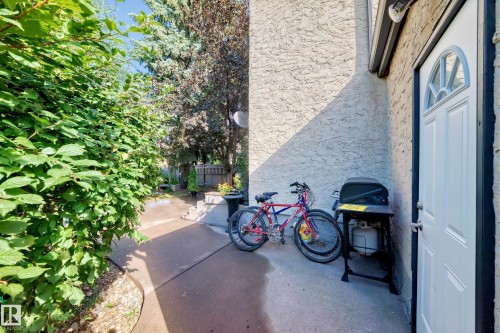 Patio area with stucco exterior, a white entry door with an arched window, and established perimeter foliage - 5620 93A Avenue Nw, Edmonton, AB 