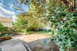 Expansive backyard featuring a concrete patio, mature trees, and a wooden perimeter fence - 