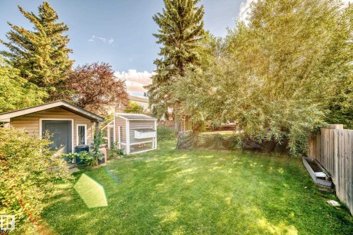 Expansive backyard featuring a lush lawn, mature trees, a detached shed, and a chicken coop - 5620 93A Avenue Nw, Edmonton, AB 