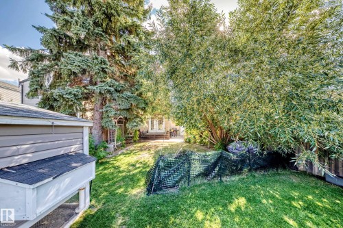 Expansive backyard with a manicured lawn, mature trees, and a garden structure - 5620 93A Avenue Nw, Edmonton, AB 