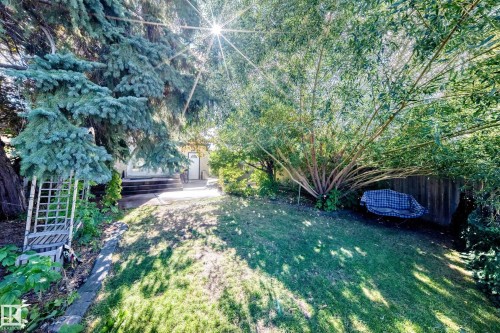 Expansive backyard featuring mature trees, a manicured lawn, and a slatted wood fence - 5620 93A Avenue Nw, Edmonton, AB 