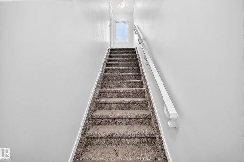 Carpeted staircase with light-toned wall finishes and a white handrail - 19716 27 Avenue Nw, Edmonton, AB - Indoor Photo Showing Other Room