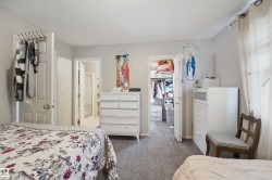 Neutral wall color and gray carpeting - 