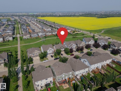 Aerial perspective showcasing a residential neighborhood with diverse housing styles, a prominent green space, and a distant field of yellow crops - 1640 Chapman Way Sw, Edmonton, AB - Outdoor With View