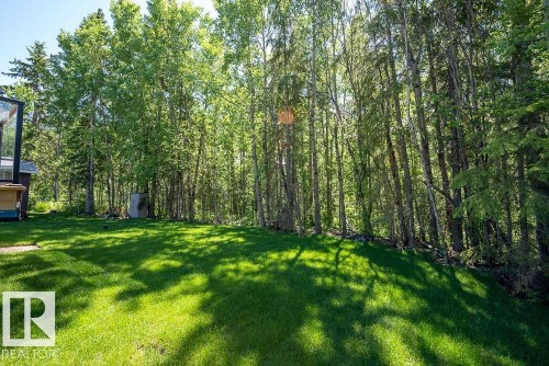 132 Heron Point Close, Rural Wetaskiwin County, AB - Outdoor