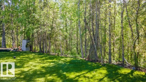 132 Heron Point Close, Rural Wetaskiwin County, AB - Outdoor