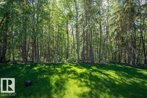 132 Heron Point Close, Rural Wetaskiwin County, AB - Outdoor