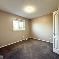 Neutral wall tones with dark carpeting - 