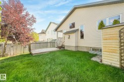 Spacious backyard with a wooden deck, privacy fence, mature tree, and light-colored siding - 