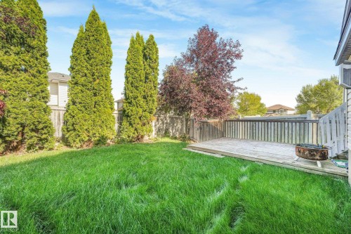 Expansive backyard featuring a green lawn, wood deck, and perimeter fencing - 1271 Ormsby Lane Nw, Edmonton, AB 