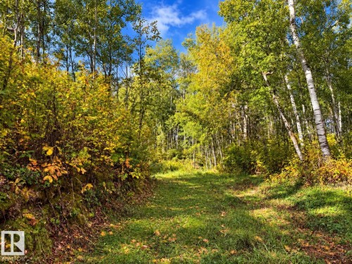 #133 51248 Rge Road 231, Rural Strathcona County, AB 