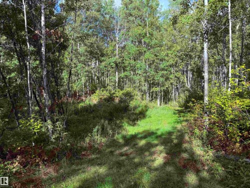 #133 51248 Rge Road 231, Rural Strathcona County, AB 