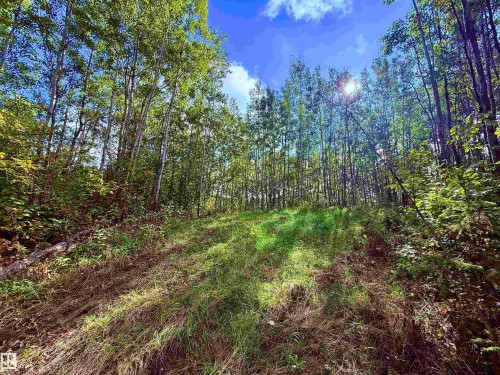 #133 51248 Rge Road 231, Rural Strathcona County, AB 