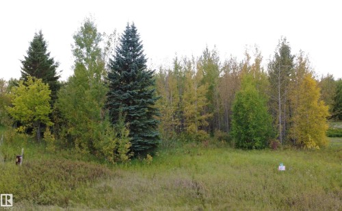 #42 52318 Rge Road 25, Rural Parkland County, AB 
