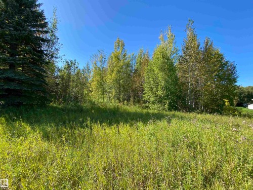 #42 52318 Rge Road 25, Rural Parkland County, AB 