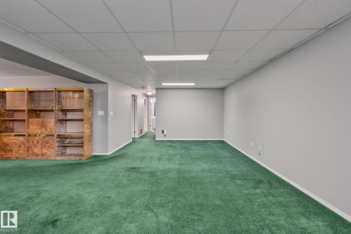 Expansive room featuring plush green carpeting and a neutral wall color - 14724 73 Street Nw, Edmonton, AB 
