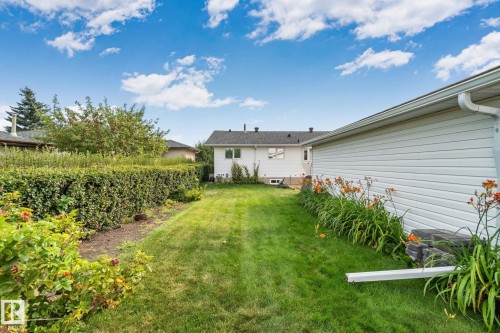 Lush backyard featuring a manicured lawn, established hedge, and decorative plantings - 14724 73 Street Nw, Edmonton, AB 
