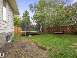 Expansive backyard featuring a manicured lawn, established flowering trees, and a privacy fence - 
