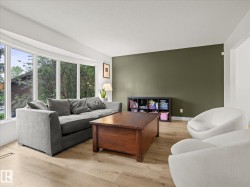 Bay window framing exterior foliage - 