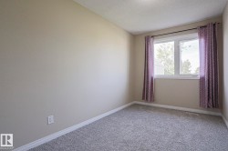 Neutral wall color, carpeted flooring, white trim, window with white frame, and textured ceiling - 