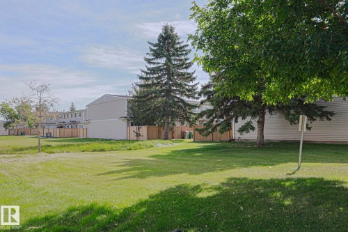 Expansive green space featuring a large evergreen tree and mature deciduous trees - 319 Telford Court, Leduc, AB 