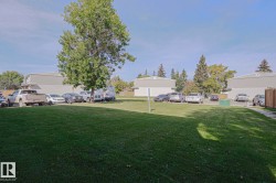 Expansive green space with mature trees - 