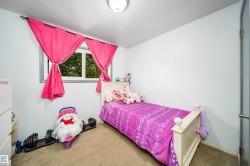 Recessed window with exterior scenery, carpeted flooring, light-toned wall paint, and a ceiling-mounted light fixture - 