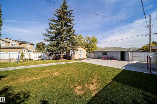 Expansive backyard featuring a mature evergreen tree, detached garage, and concrete patio - 10245 160 Street Nw, Edmonton, AB 