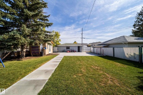Expansive lawn area with mature evergreen trees, a concrete walkway, and a detached structure - 10245 160 Street Nw, Edmonton, AB 
