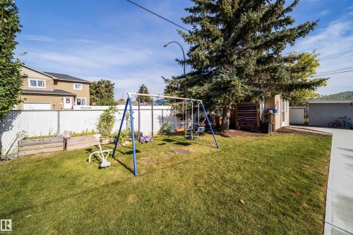 Grassed backyard featuring a chain-link fence, a storage shed, and mature trees - 10245 160 Street Nw, Edmonton, AB 
