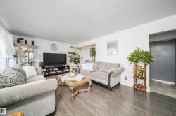 Wood-finish flooring throughout, bright white walls, and a recessed ceiling - 