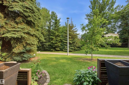 Expansive green space featuring a paved pathway and mature trees - 141 Hearthstone Nw, Edmonton, AB - Outdoor