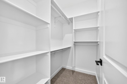 Walk-in closet with carpet flooring, white shelving, and hanging rods - 9 Tilia Place, Spruce Grove, AB 