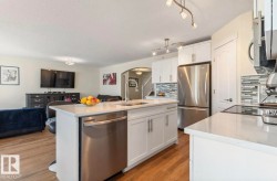 Modern kitchen featuring a central island with an undermount sink and stainless steel dishwasher - 