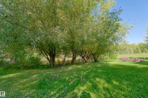 Hwy 763 & Twp Rd 595, Rural Barrhead County, AB 