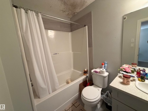 Additional content - 2628 Donaghey Crescent Sw, Edmonton, AB 