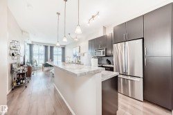 #216 10531 117 ST NW Edmonton, AB T5H 0A8