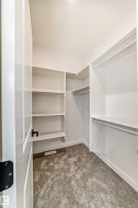 Walk-in closet featuring carpet flooring, built-in shelving, and clothes rods - 