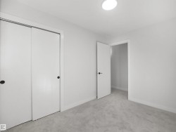 Soft grey carpeting - 