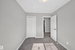 Neutral paint color, gray carpeting, white trim, white paneled doors, and ceiling-mounted light fixture - 