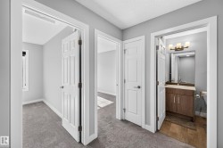 Light gray painted walls, paneled doors, and gray carpeted flooring - 