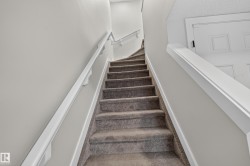 Carpeted staircase with white handrails and painted walls - 